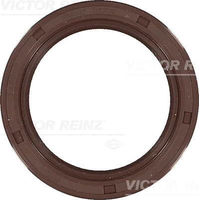 VICTOR REINZ 811043100