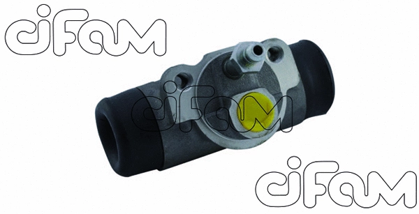 CIFAM 101905
