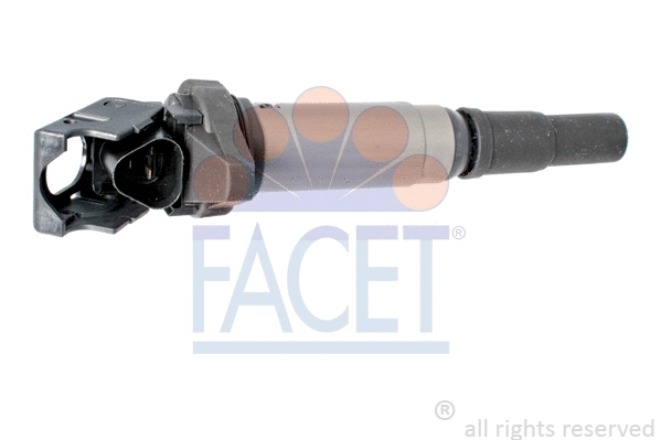 FACET 96507