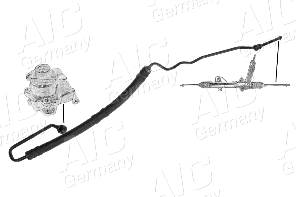 AIC 55719