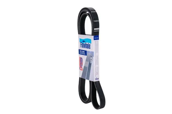 FINWHALE BP6PK2138