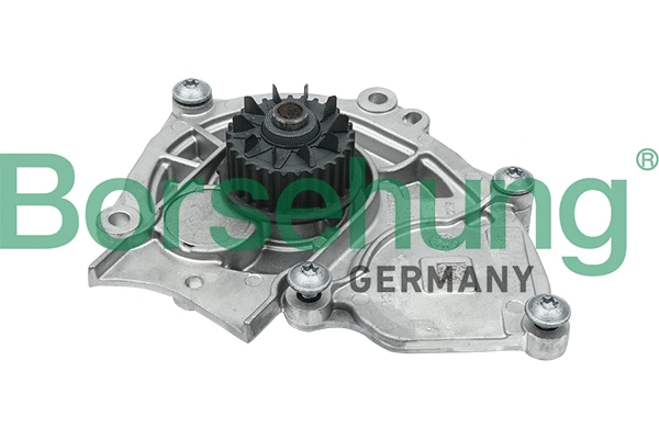 BORSEHUNG B15313