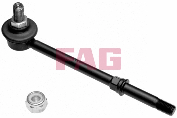 FAG 818028310
