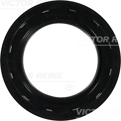 VICTOR REINZ 813853300