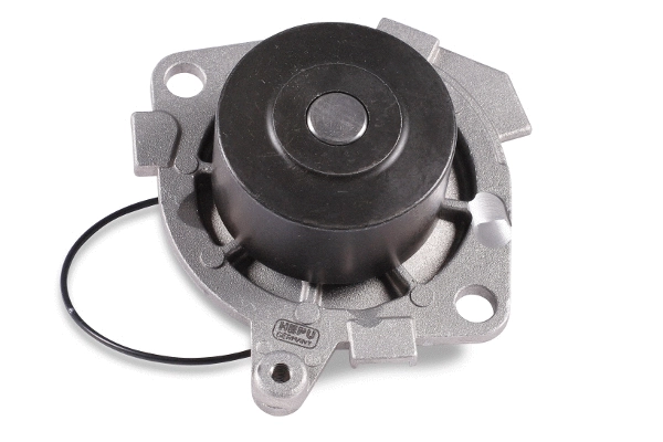 HEPU P1045