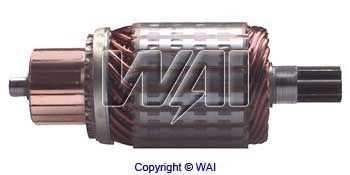 WAI 618211