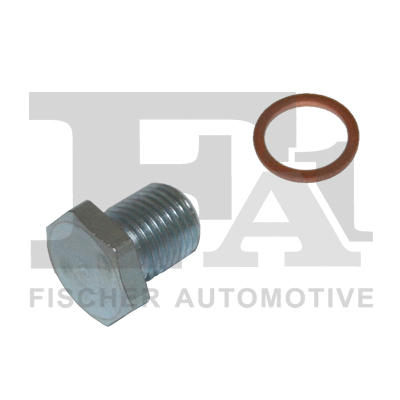 FA1 257817011