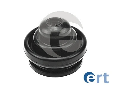 ERT 500085
