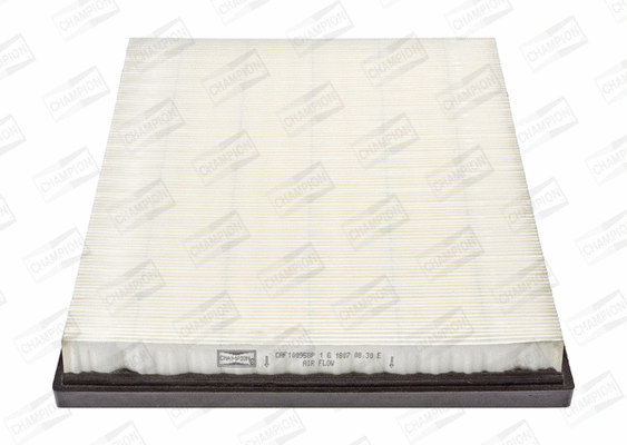 CHAMPION CAF100958P