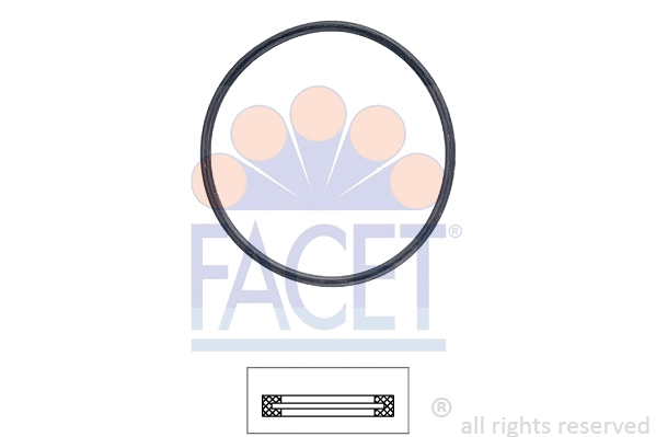 FACET 79705