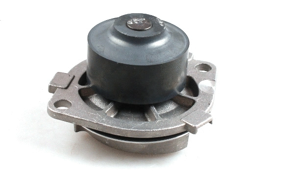 HEPU P1035