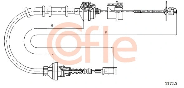 COFLE 11725