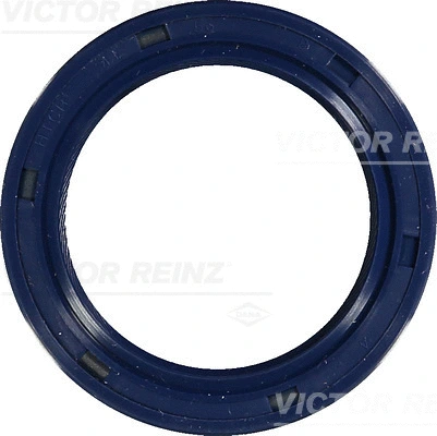 VICTOR REINZ 815377400