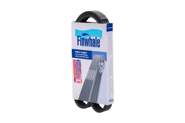 FINWHALE BP5PK868E