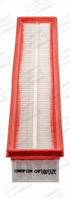 CHAMPION CAF100717P