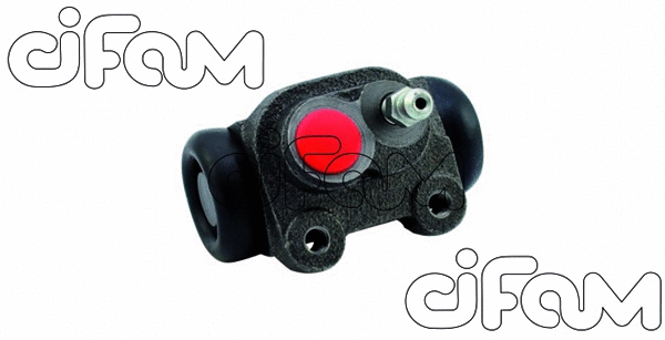 CIFAM 101348