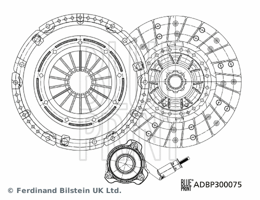 BLUE PRINT ADBP300075
