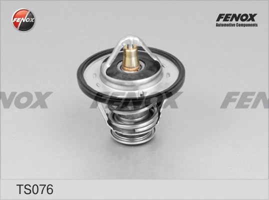 FENOX TS076