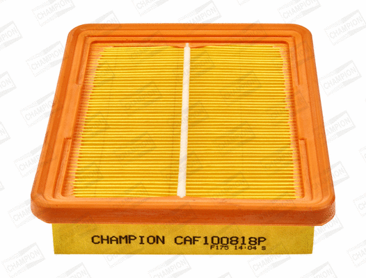 CHAMPION CAF100818P