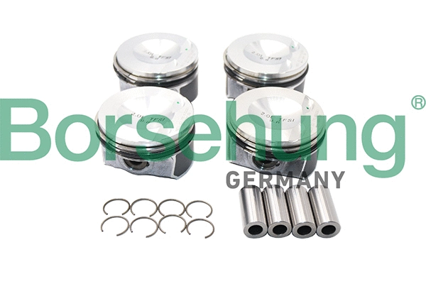 BORSEHUNG B13583