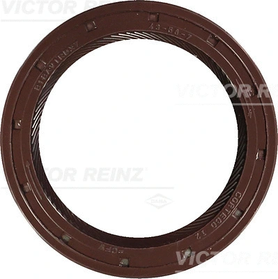VICTOR REINZ 813507400