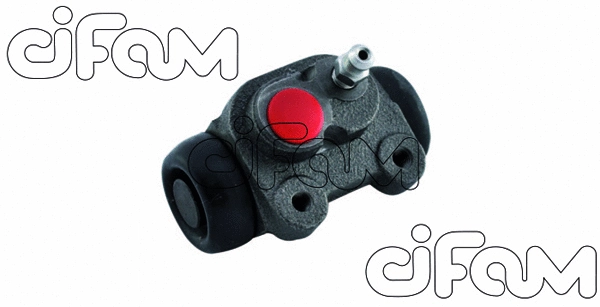 CIFAM 101809