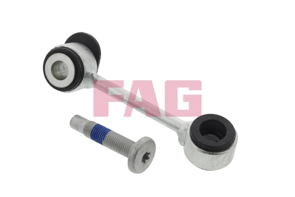 FAG 818009610