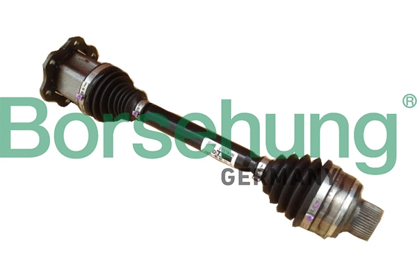 BORSEHUNG B18739