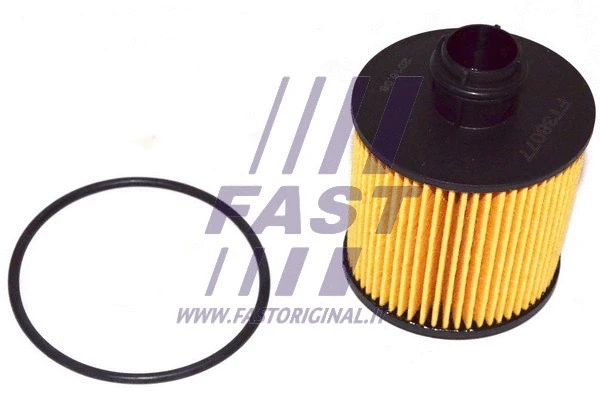 FAST FT38077