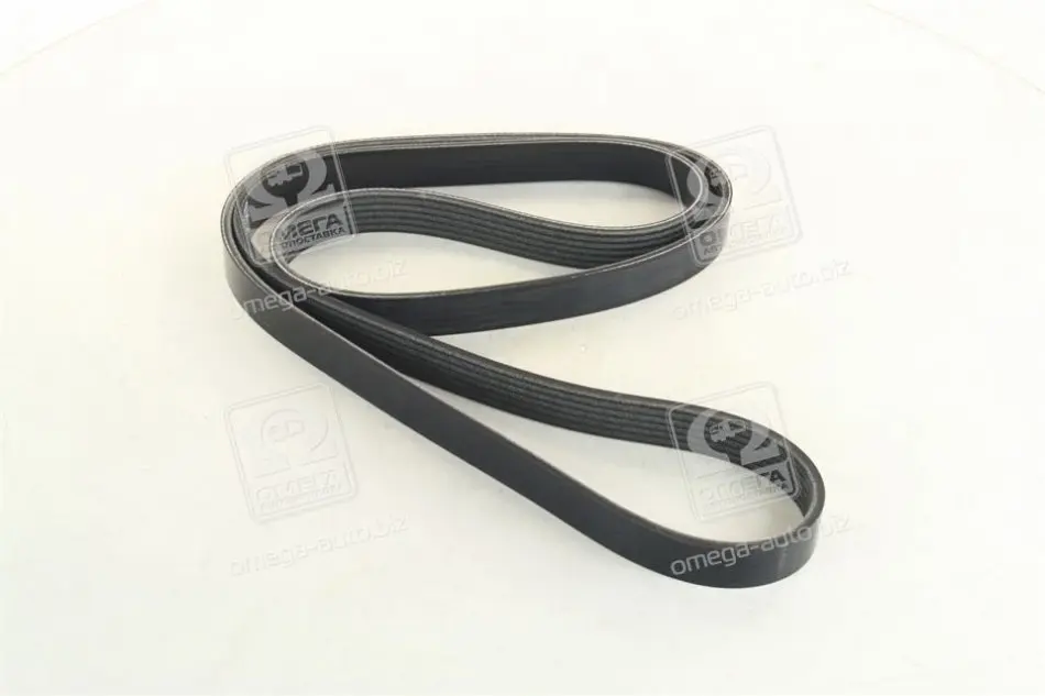 DAYCO 6PK1515S