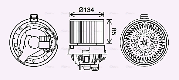 AVA RT8635