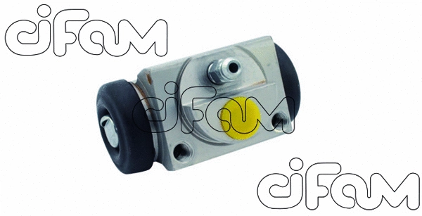 CIFAM 101829