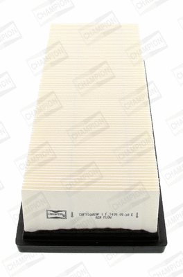 CHAMPION CAF100859P