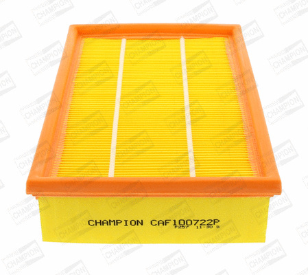 CHAMPION CAF100722P