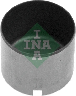 INA 420008910