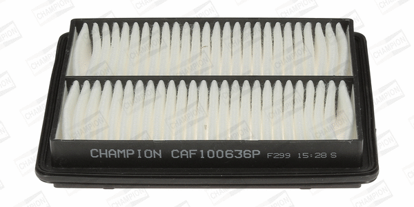 CHAMPION CAF100636P