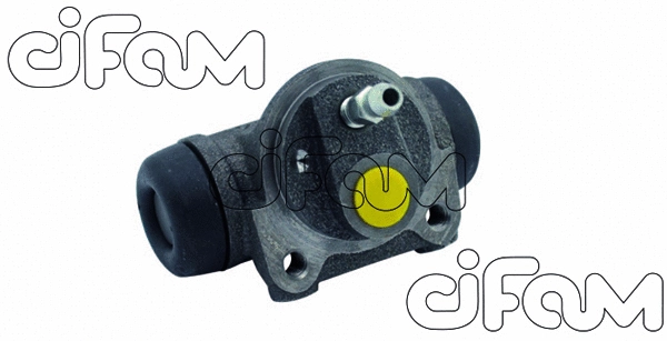 CIFAM 101820
