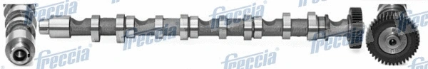 FRECCIA CM052196