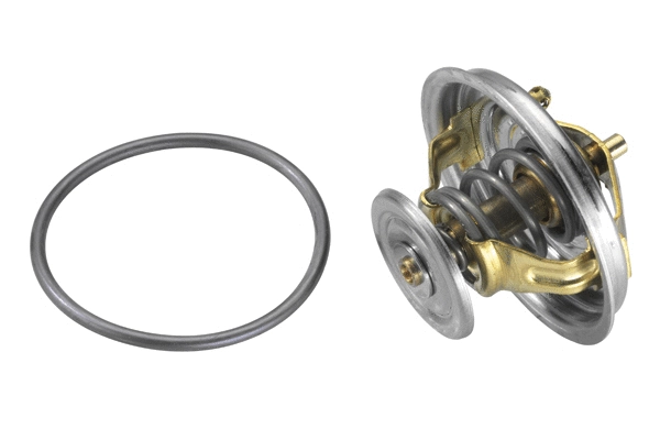 WAHLER 427482D