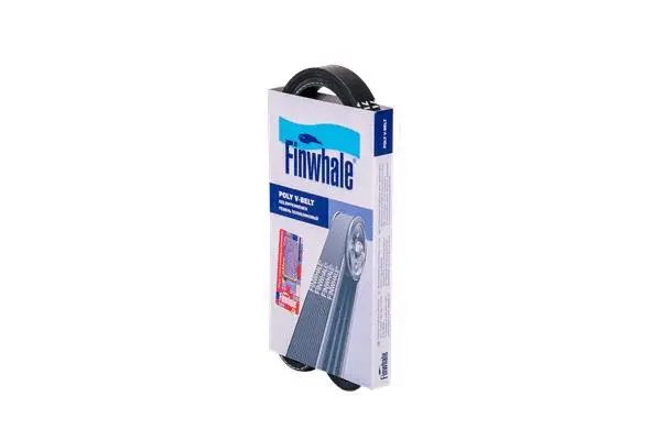 FINWHALE BP4PK788