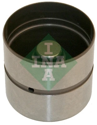 INA 420022010
