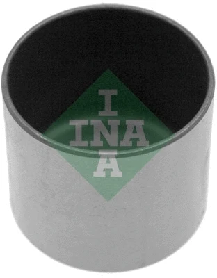 INA 421001010