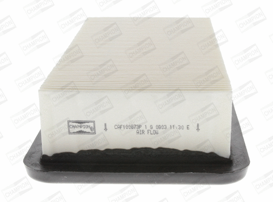 CHAMPION CAF100873P