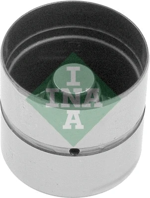 INA 420010610