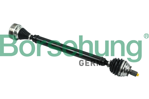 BORSEHUNG B18423