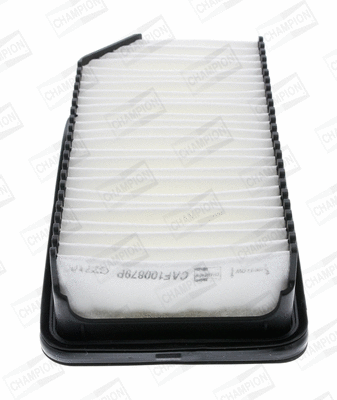 CHAMPION CAF100879P