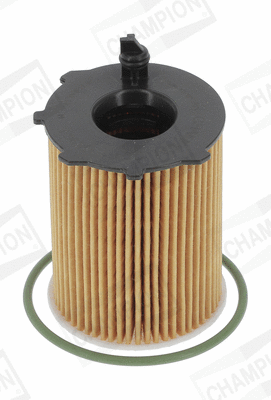 CHAMPION COF100696E