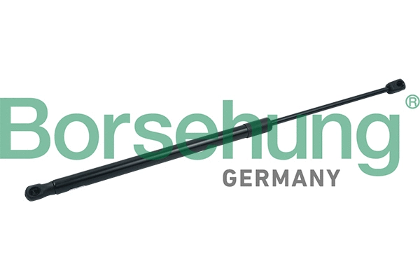 BORSEHUNG B18451