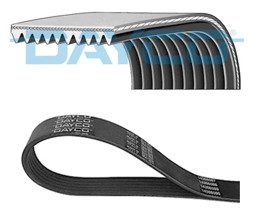 DAYCO 10PK1068HD