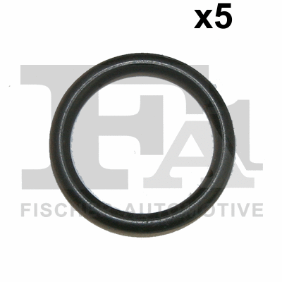 FA1 076355005
